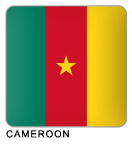 cameroon-flag-image