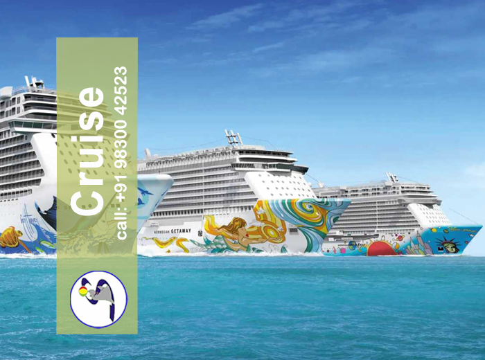 travel services-cruise tours