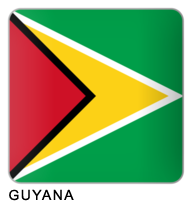 guyana-flag